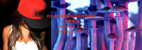 сатива Осинники