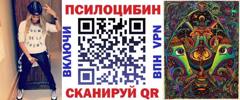 Купить  Кремёнки  Псилоцибиновые грибы Cubensis 